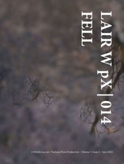 Cover for Wetdryvac · LAIR W pX 014 Fell (Hardcover Book) (2024)