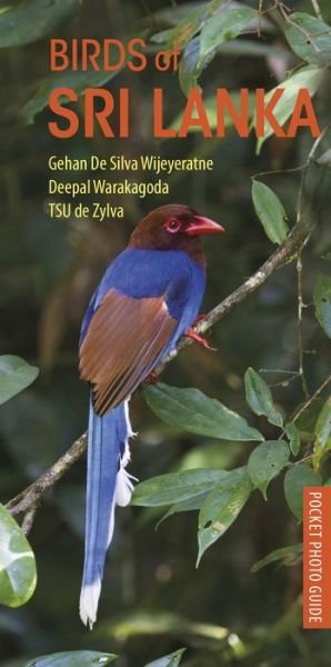 Cover for Gehan de Silva Wijeyeratne · Birds of Sri Lanka - Pocket Photo Guides (Taschenbuch) (2019)