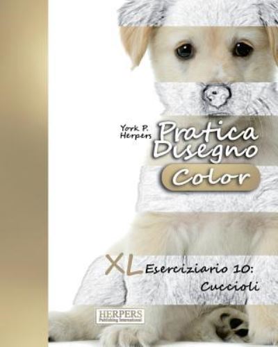 Cover for York P Herpers · Pratica Disegno [Color] - XL Eserciziario 10 (Paperback Book) (2017)