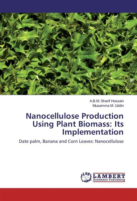 Cover for Hossain · Nanocellulose Production Using (Buch)