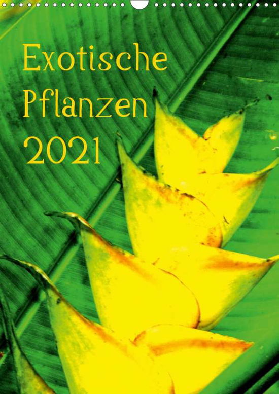 Cover for Brun · Exotische Pflanzen (Wandkalender 2 (Book)