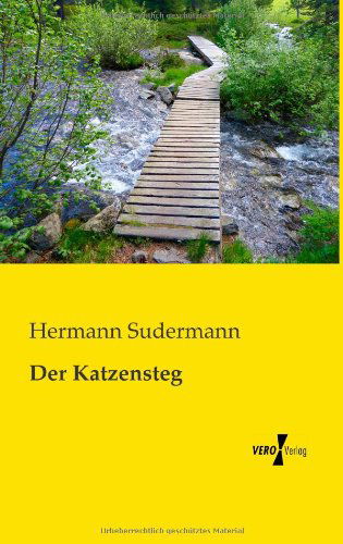 Cover for Hermann Sudermann · Der Katzensteg (Paperback Book) [German edition] (2019)