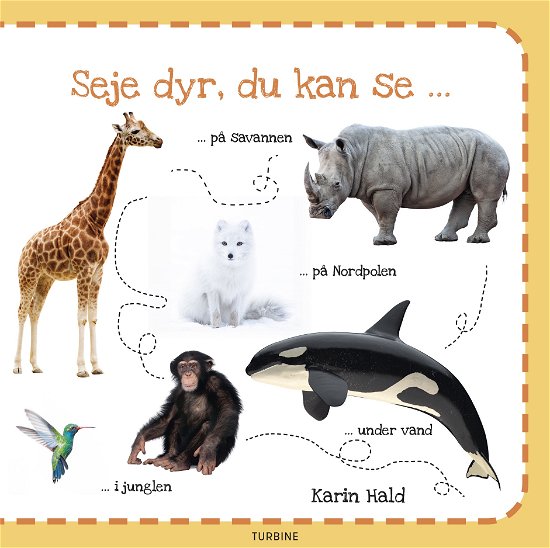 Cover for Karin Hald · Seje dyr, du kan se ... (Pappbok) [1:a utgåva] (2022)