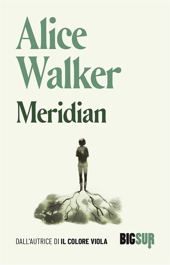 Cover for Alice Walker · Meridian (Buch)