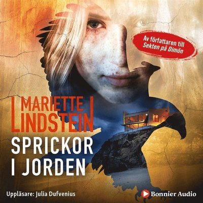 Cover for Mariette Lindstein · Pilgrimsfalkens väktare: Sprickor i jorden (Hörbok (MP3)) (2019)