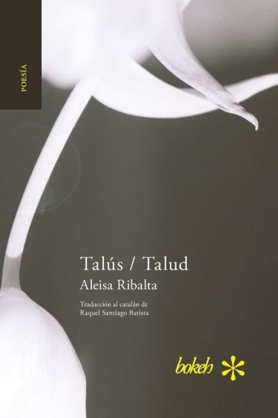 Cover for Aleisa Ribalta · Talus / Talud (Paperback Book) (2018)
