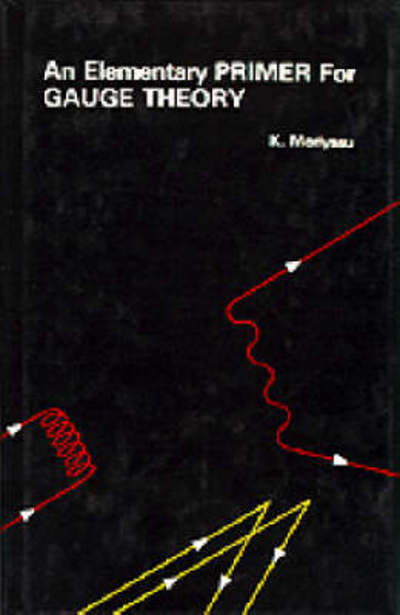 Cover for Moriyasu, K (.) · Elementary Primer For Gauge Theory, An (Paperback Book) (1983)