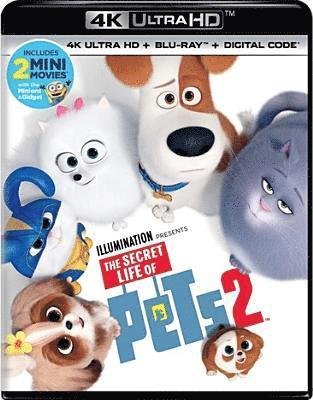 Cover for Secret Life of Pets 2 (4K Ultra HD) (2019)