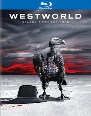 Cover for Westworld: Season 2 - Door (Blu-ray) (2019)