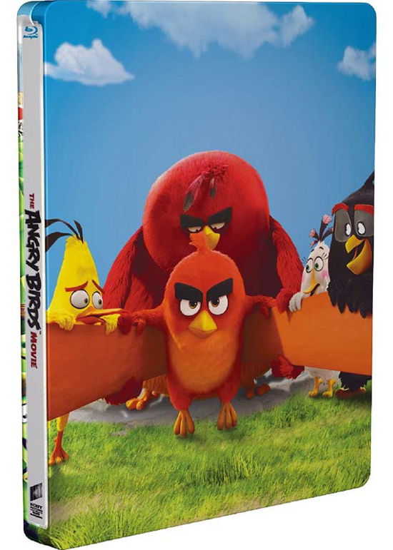 Cover for The Angry Birds Movie - Steelb · The Angry Birds Movie Limited Edition Steelbook (Blu-ray) (2016)