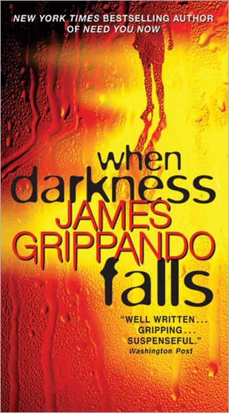 Cover for James Grippando · When Darkness Falls (Paperback Book) (2012)