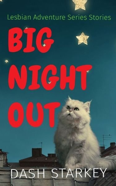 Cover for Dash Starkey · Big Night Out (Pocketbok) (2021)