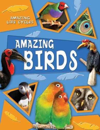 Cover for Brenda Williams · Amazing Birds (Amazing Life Cycles) (Gebundenes Buch) (2008)