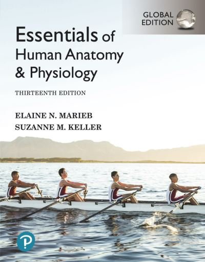 Cover for Elaine Marieb · Essentials of Human Anatomy &amp; Physiology, Global Edition (Paperback Book) (2021)