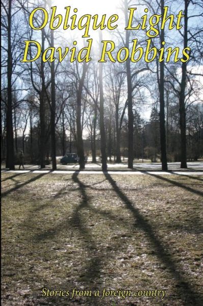 Oblique Light - David Robbins - Books - Blurb - 9781320153942 - January 26, 2015