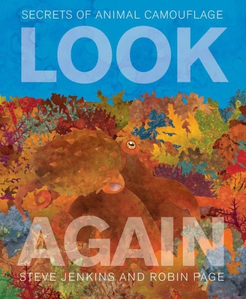 Cover for Steve Jenkins · Look Again: Secrets of Animal Camouflage (Gebundenes Buch) (2019)