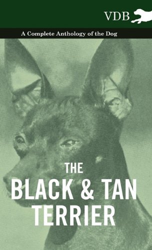 Cover for The Black and Tan Terrier - a Complete Anthology of the Dog - (Innbunden bok) (2010)