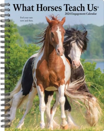 Cover for Willow Creek Press · What Horses Teach Us 2024 6.5 X 8.5 Engagement Calendar (Calendar) (2023)