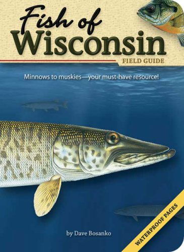 Cover for Dave Bosanko · Fish of Wisconsin Field Guide - Fish Identification Guides (Pocketbok) (2007)