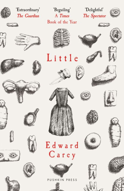 Cover for Edward Carey · Little (Paperback Book) (2025)