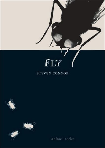 Cover for Steven Connor · Fly - Animal Series (Paperback Book) (2006)