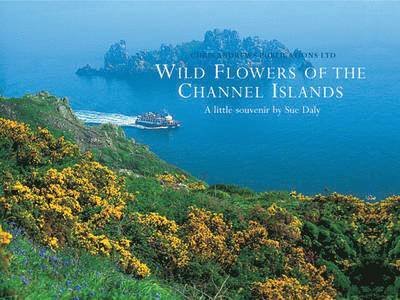 Cover for Chris Andrews · Wild Flowers of the Channel Islands Little Souvenir - Little Souvenir Books S. (Hardcover bog) (2008)