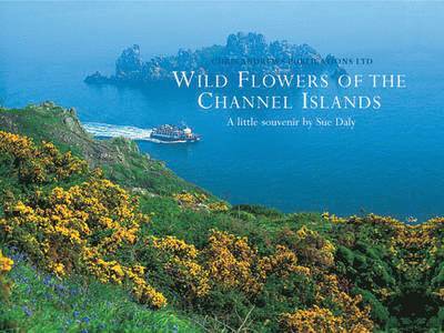 Wild Flowers of the Channel Islands Little Souvenir - Little Souvenir Books S. - Chris Andrews - Books - Chris Andrews Publications Ltd - 9781905385942 - September 1, 2008