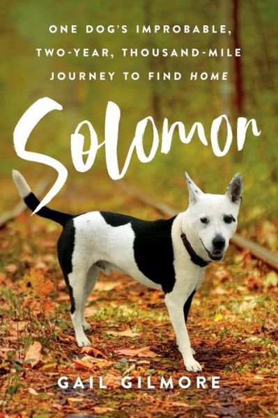 Cover for Gail Gilmore · Solomon (Paperback Book) (2021)