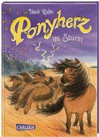 Cover for Luhn · Ponyherz 14: Ponyherz im Sturm (Bog)