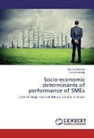 Socio-economic determinants of p - Mwangi - Bøger -  - 9783659464942 - 