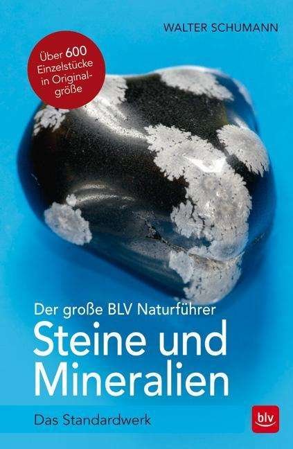 Cover for Schumann · Der große BLV Naturführer Stei (Bog)