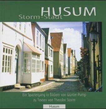 Cover for Theodor Storm · Storm-Stadt Husum (Pocketbok) (2020)