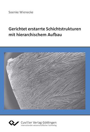 Cover for Soenke Wienecke · Gerichtet erstarrte Schichtstrukturen mit hierarchischem Aufbau (Paperback Book) (2014)