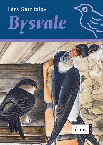 Cover for Lars Serritslev · Fuglebøgerne.: Fuglekassen Bysvale, Hæfte (Sewn Spine Book) [1. wydanie] (2004)