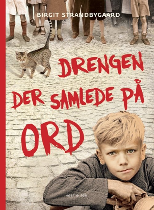 Cover for Birgit Strandbygaard · Drengen der samlede på ord (Poketbok) [1:a utgåva] (2005)
