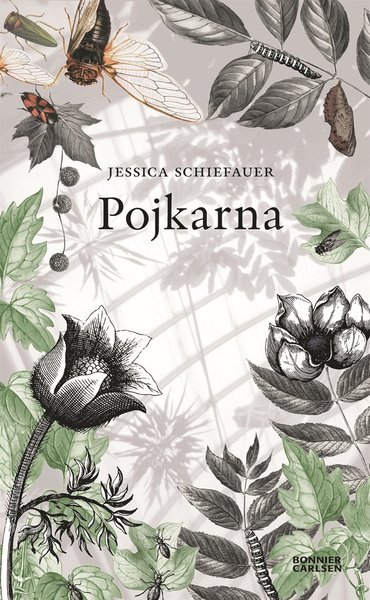 Cover for Jessica Schiefauer · Pojkarna (ePUB) (2011)