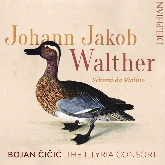 Cover for Bojan Cicic / the Illyyria Consort · Johann Jakob Walther: Scherzi Da Violino (CD) (2022)