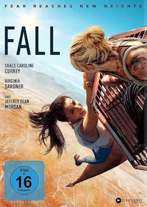 Cover for Fall - Fear Reaches New Heights · Fall - Fear Reaches New Heights / DVD (DVD) (2022)