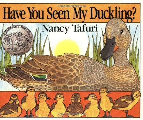 Have You Seen My Duckling?: An Easter And Springtime Book For Kids - Nancy Tafuri - Książki - HarperCollins - 9780688109943 - 21 sierpnia 1991