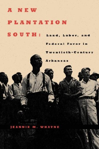 Cover for Jeannie M. Whayne · A New Plantation South: Land, Labor, and Federal Favor in Twentieth-century Arkansas (Carter G. Woodson Institute Series) (Paperback Book) (1996)