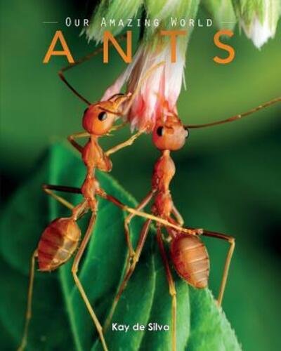 Cover for Kay De Silva · Ants Amazing Pictures &amp; Fun Facts on Animals in Nature (Pocketbok) (2016)