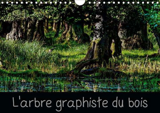 Cover for Angot · L'arbre graphiste du bois (Calend (Book)