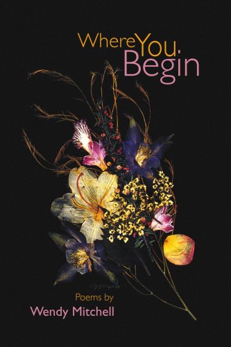 Cover for Wendy Mitchell · Where You Begin (Pocketbok) (2008)