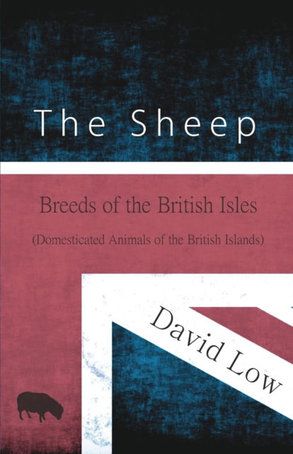 Cover for David Low · The Sheep - Breeds of the British Isles (Domesticated Animals of the British Islands) (Paperback Book) (2017)