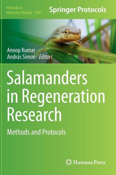 Cover for Anoop Kumar · Salamanders in Regeneration Research: Methods and Protocols - Methods in Molecular Biology (Hardcover Book) [2015 edition] (2015)