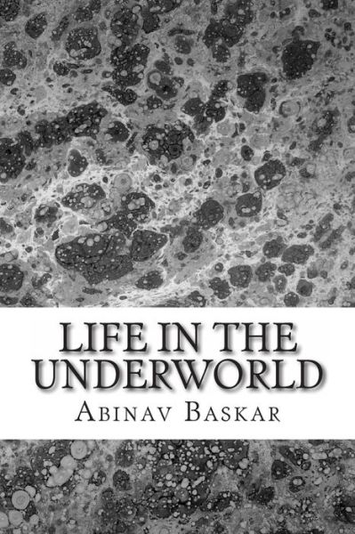 Cover for Abinav Krishna Baskar · Life in the Underworld: Death is Only the Beginning... (Paperback Book) (2013)