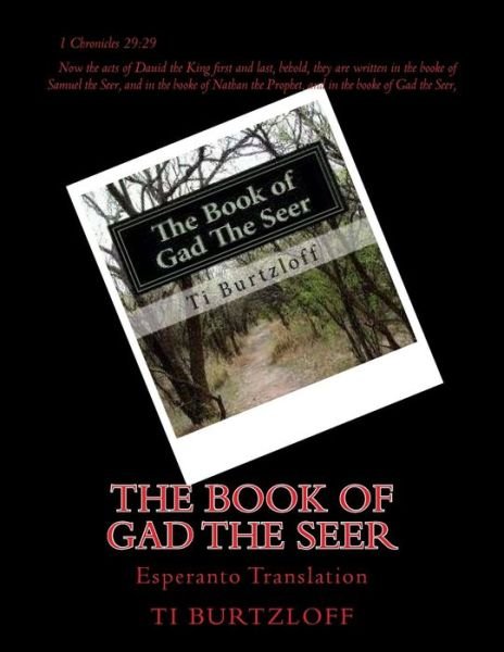 Cover for Ti Burtzloff · The Book of Gad the Seer: Esperanto Translation (Pocketbok) (2015)