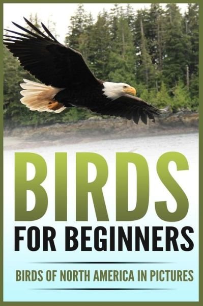 Cover for Pippa Cloverdale · Birds for Beginners (Paperback Bog) (2017)