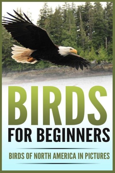 Cover for Pippa Cloverdale · Birds for Beginners (Paperback Book) (2017)