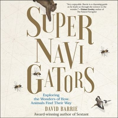 Cover for David Barrie · Supernavigators (CD) (2019)